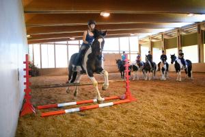 uma mulher montada num cavalo saltando sobre um obstáculo em Wohlfühlresort und Feriengut Martinerhof em Sankt Martin am Tennengebirge