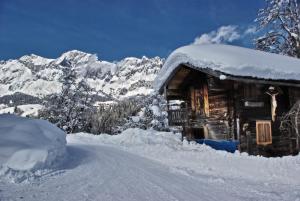 Molteraugut durante o inverno