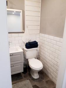 Alytus Ziburio studio tesisinde bir banyo