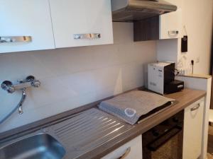 a kitchen counter with a sink and a microwave at L'Angolo Di San Pietro in Rome