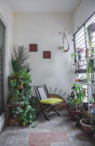 een kamer met een stoel en veel planten bij Homestay for Women in Coimbatore