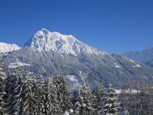 Une montagne avec des arbres enneigés devant elle dans l'établissement Landhaus Eggensberger, à Fischen im Allgäu