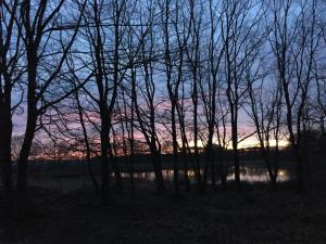 Naturlandskabet i nærheden af lejligheden