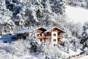 a house in the snow with snow covered trees at Appartements Plattnerhof in Castelrotto