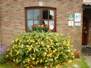 A garden outside B&B La Chrysalide