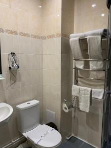 uma casa de banho com um WC e um chuveiro com toalhas em Viktoria Park Hotel em Bucha