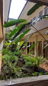 Un jardín fuera de Aloha Hotel Yogyakarta