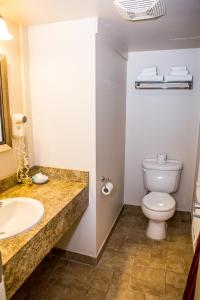 a bathroom with a toilet and a sink at The Village Inn of Lakefield in Lakefield