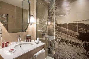 トゥールニュにあるHôtel & Spa Les Sept Fontaines Best Western Premierのバスルーム(シンク、シャワー付)