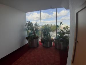 Gambar di galeri bagi AUTO HOTEL LEGARIA di Mexico City