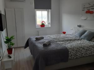 Szalók Spa Apartman Egerszalók 객실 침대