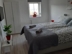 Szalók Spa Apartman Egerszalók 객실 침대