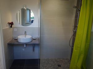 a bathroom with a sink and a shower with a mirror at Appartement Alouette France in Pessac