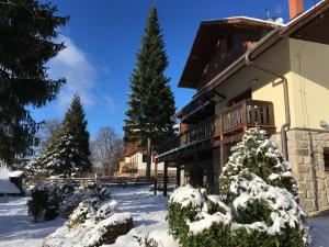 Chalet Hřebenka trong mùa đông