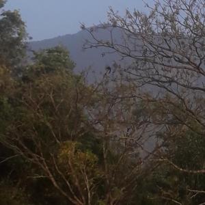 Un paisaje natural cerca de la casa de vacaciones