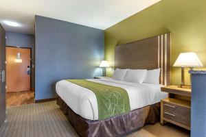 Un pat sau paturi într-o cameră la Comfort Suites Southgate-Detroit