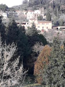 een groep bomen en gebouwen op een heuvel bij Villa Le Pergole- Firenze in Florence