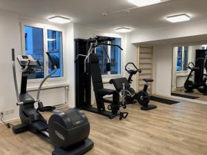 um ginásio com passadeiras e equipamento de exercício numa sala em Hotel City Inn Basel em Basileia