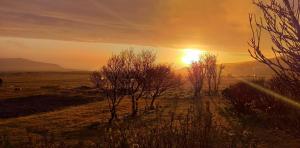 um pôr-do-sol num campo com árvores em primeiro plano em Volcano Hotel em Vík