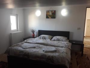 een slaapkamer met een groot bed met 2 kussens bij Vila Madudu in Vălenii de Munte