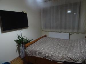 Krevet ili kreveti u jedinici u objektu Apartament w centrum, garaż i jakuzzi w cenie