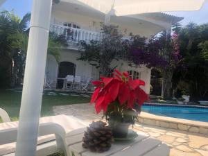 eine Vase mit roten Blumen auf einem Tisch neben einem Haus in der Unterkunft Villa Saint Tropez in Cabo Frio