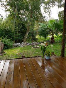 A garden outside Pinar de Hurtado