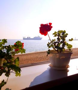 Odessa'daki Cottage with panoramic sea view tesisine ait fotoğraf galerisinden bir görsel