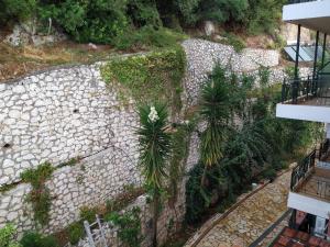 una vista sul soffitto di un muro in pietra con palme di Katerina Lefkada a Vassiliki