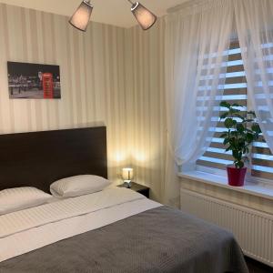 een slaapkamer met een bed en een raam met een potplant bij Hotel Business Apartments in Dnipro