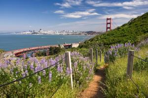 Une bande de fleurs violettes sur une colline avec le pont de la porte dorée dans l'établissement Cavallo Point, à Sausalito