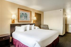 a large white bed in a hotel room at Americas Best Value Inn & Suites Ft Collins E at I-25 in Fort Collins