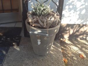 une plante dans un pot assise sur une table dans l'établissement Appartement in der Waldsiedlung, à Leverkusen