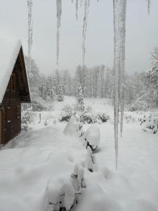 um quintal coberto de neve com uma casa e árvores em Chaty Javorina em Javorina