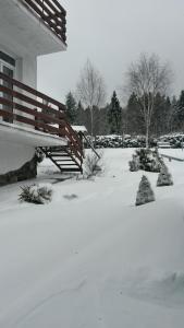 um quintal coberto de neve ao lado de uma casa com uma escada em Guest House U Sester em Skhidnitsa