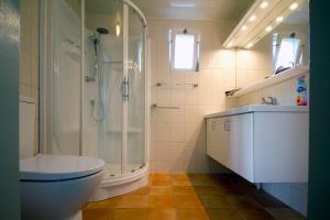 y baño con ducha, aseo y lavamanos. en Het Jachthuus - Vakantiewoning Oscar Hoeve, en Ede