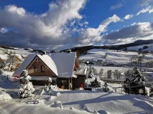 una cabina nella neve con alberi innevati di Jaworki Green Dream a Szczawnica