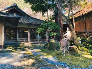 een hert dat voor een huis staat bij Tsukihitei in Nara