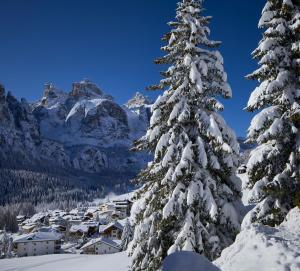 un árbol cubierto de nieve con montañas en el fondo en Hotel Tabladel, en Colfosco