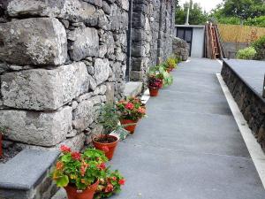 una pared de piedra con un montón de plantas en maceta en Cottage Quinze, Contemporary designed cottage with Swimming pool, en Ponta Delgada