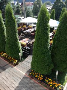 a row of trees in a garden with tables and chairs at Casa Freya in Buşteni