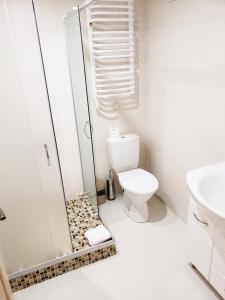 bagno bianco con doccia e servizi igienici di Apartments My London a Černivci