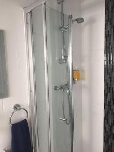 La salle de bains est pourvue d'une douche avec une porte en verre. dans l'établissement Tregonholme Guesthouse, à Bournemouth