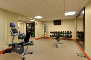 Gimnasio o equipo deportivo en Holiday Inn Harrisburg I-81 Hershey Area, an IHG Hotel