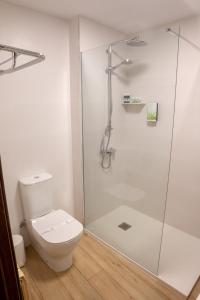 uma casa de banho com um WC e uma cabina de duche em vidro. em Hotel Las Cancelas em Ávila