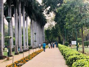 Leute gehen einen Gehweg entlang in einem Park mit Palmen in der Unterkunft The Neem in Neu-Delhi