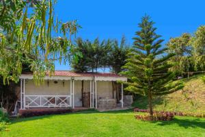 ein Haus mit Kiefer im Hof in der Unterkunft Pine View Stay Ooty in Udagamandalam