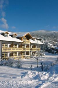 un grand bâtiment en bois dans la neige dans l'établissement Appart-Hotel Wildererstuben, à Bodenmais