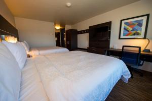 Holiday Inn Express & Suites - Colorado Springs AFA Northgate, an IHG Hotel房間的床