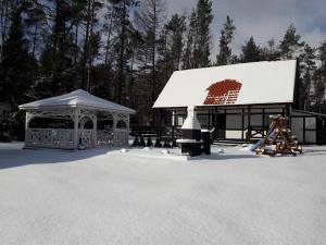 Stanlejówka kapag winter